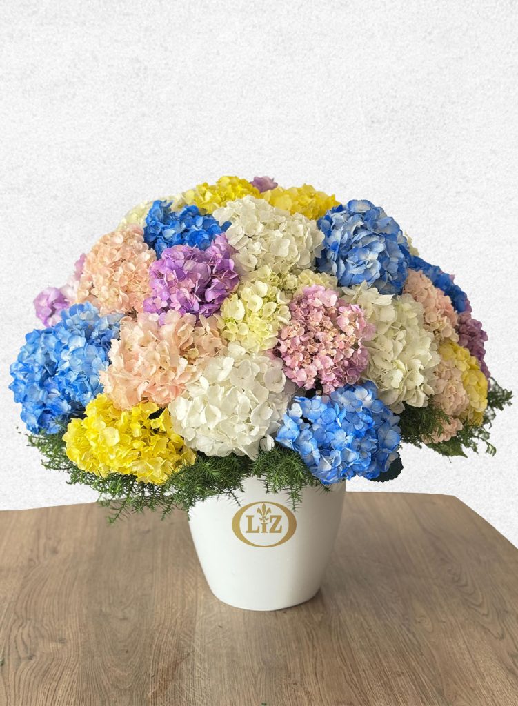 Base Hortensias